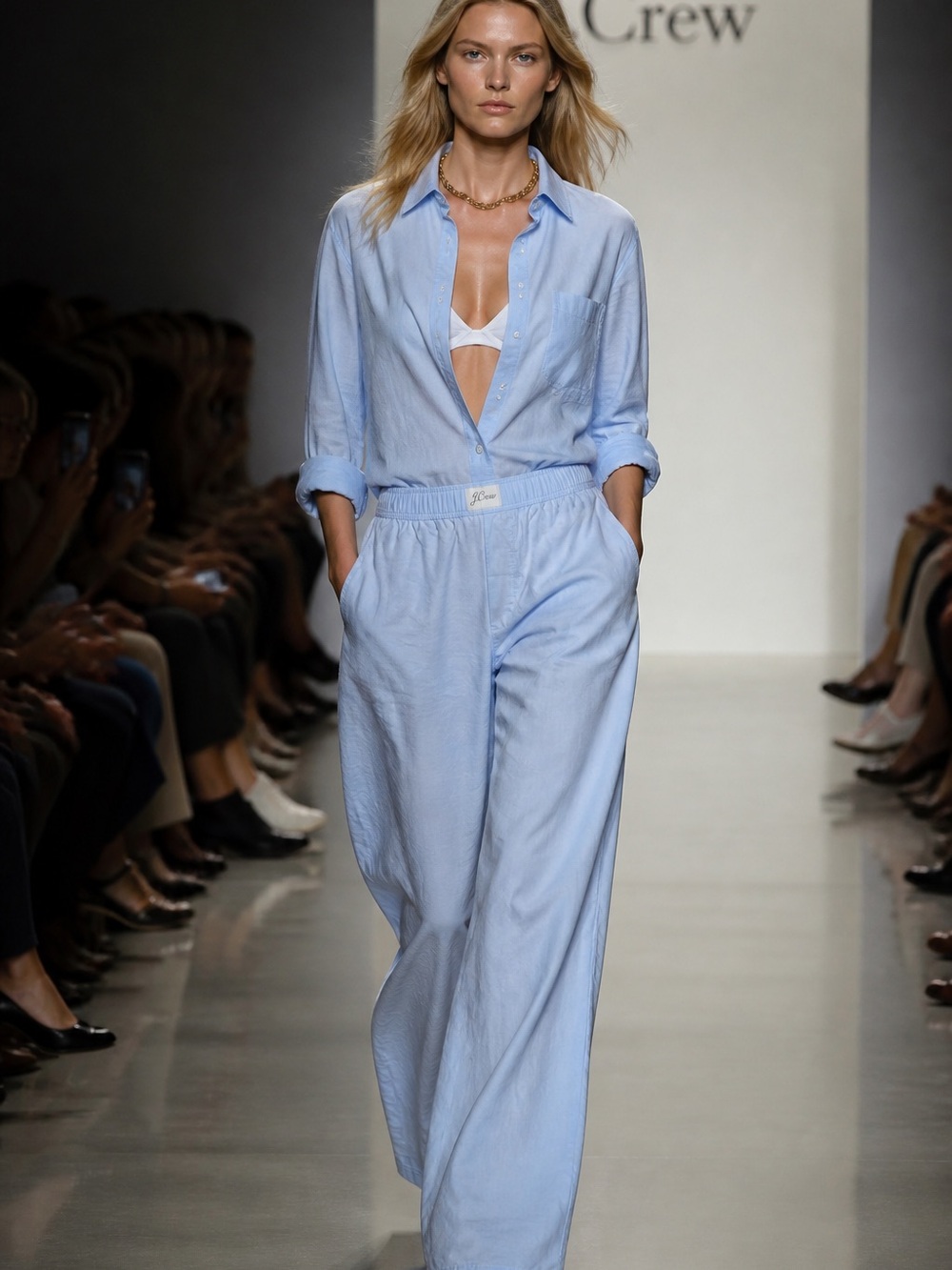 J. Crew Pale Blue Wide-Leg Cotton Pants - Picture 2 of 9